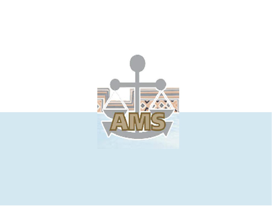 AMS Logo